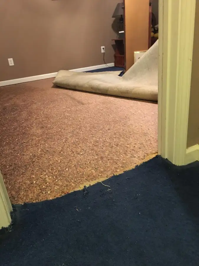 Carpet pad removal revealing water damage during Drying & Dehumidification in Moon