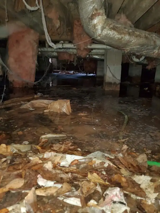 Crawl space flood assessment for Leak Detection & Repair in Moon