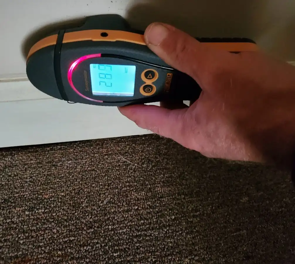 Moisture detection at baseboard during Storm Damage Restoration in Moon